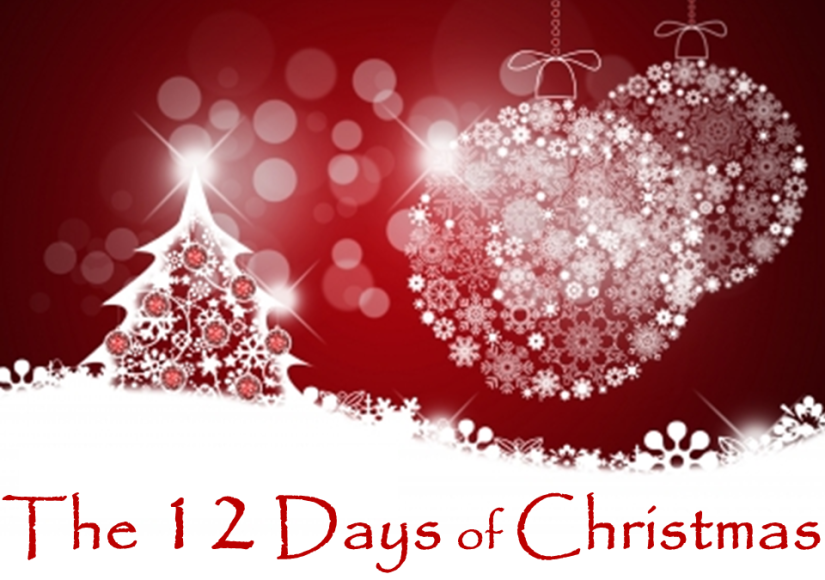 12 Days of Christmas Blog Hop, darcy flynn, romance authors, joy dent